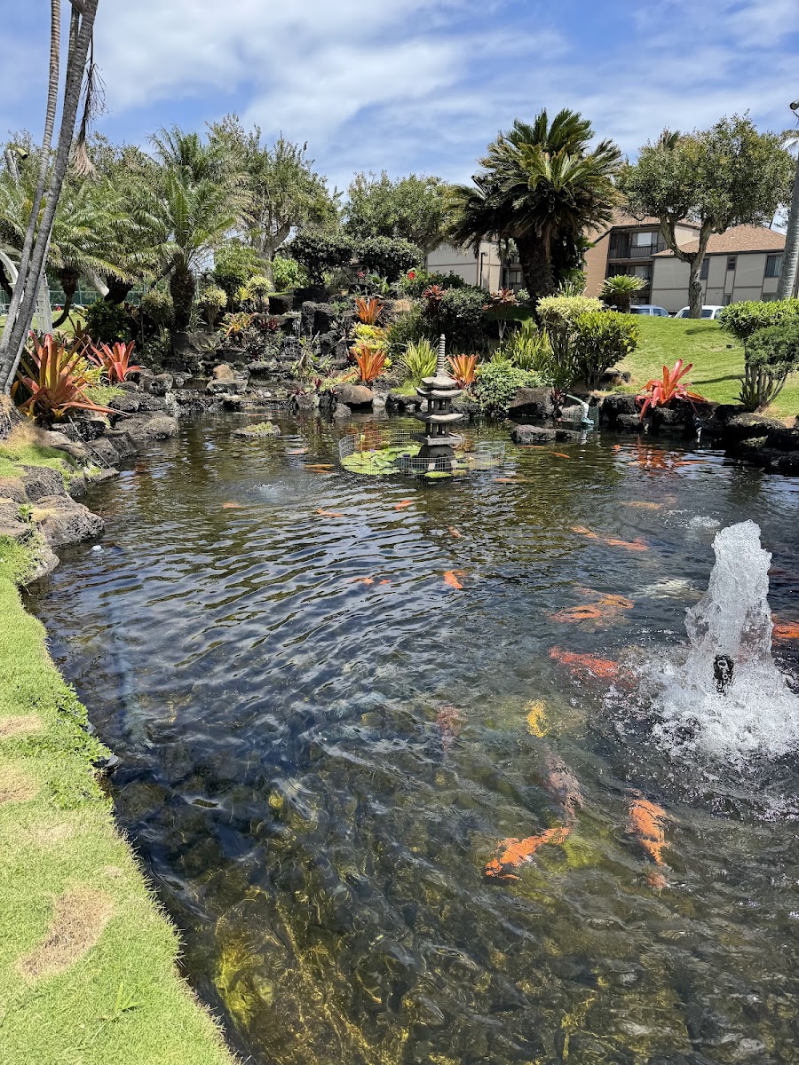 Vacation Internationale Pono Kai - United States