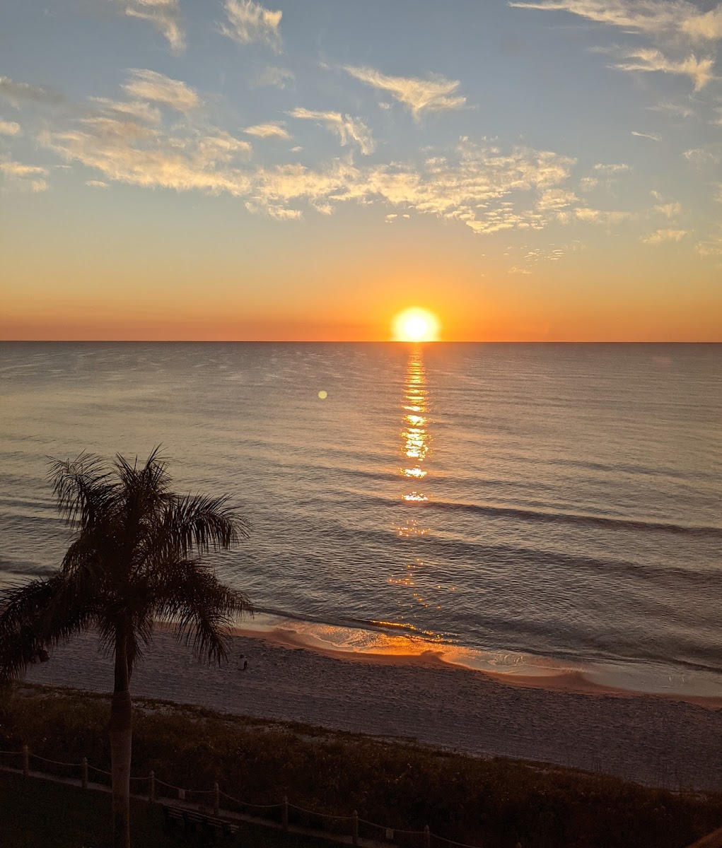 Vanderbilt Beach and Harbour Club