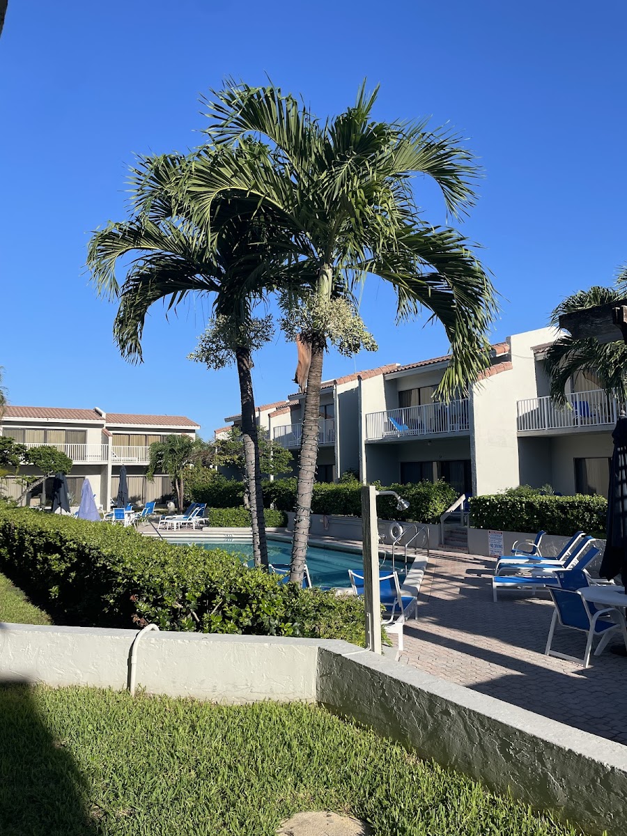 Ventura at Boca Raton
