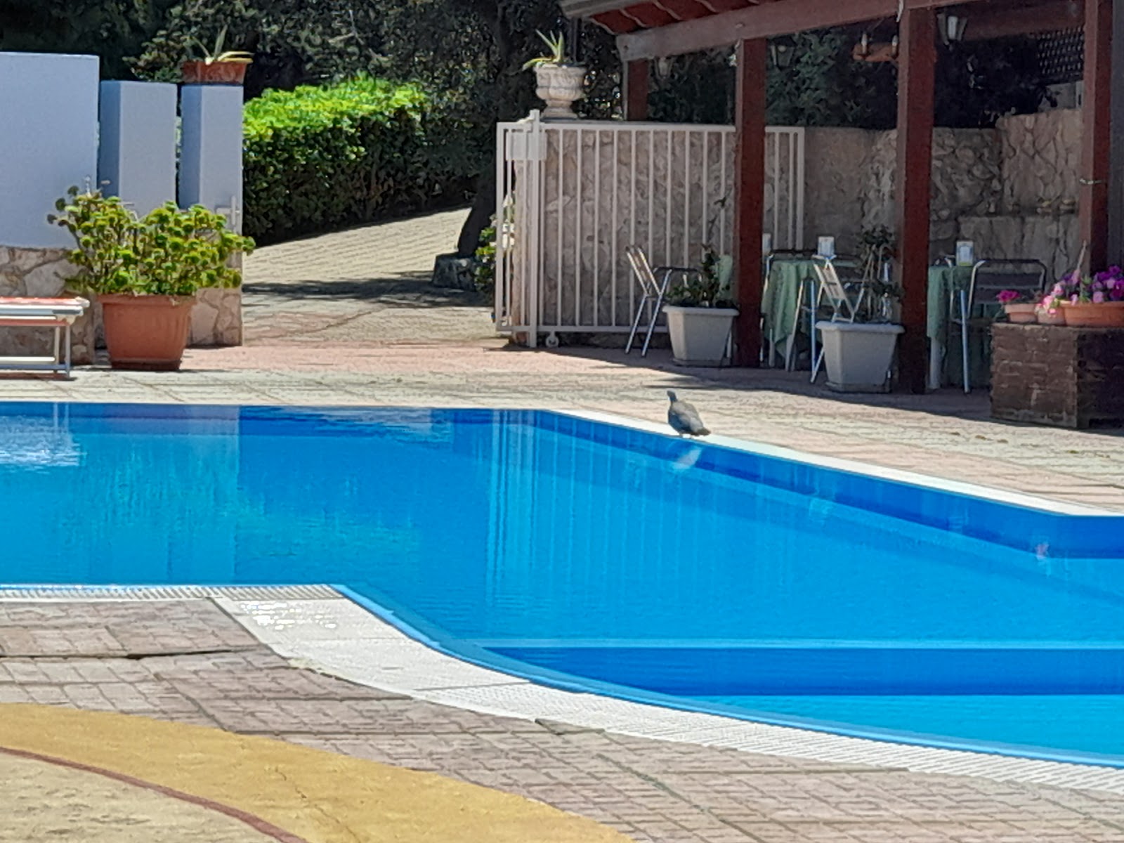 Villa Carabella Club Marco Polo - Italy