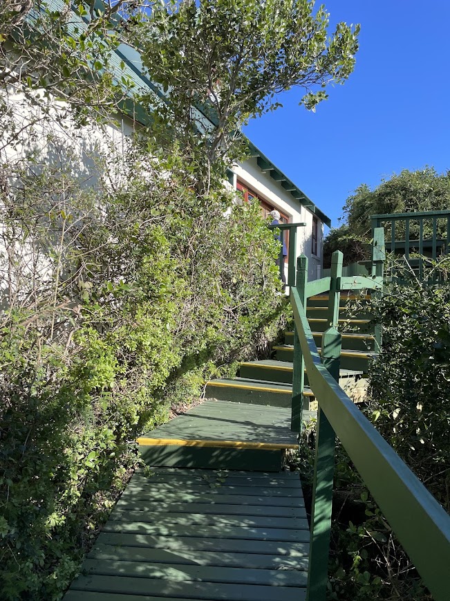 Wilderness Dunes