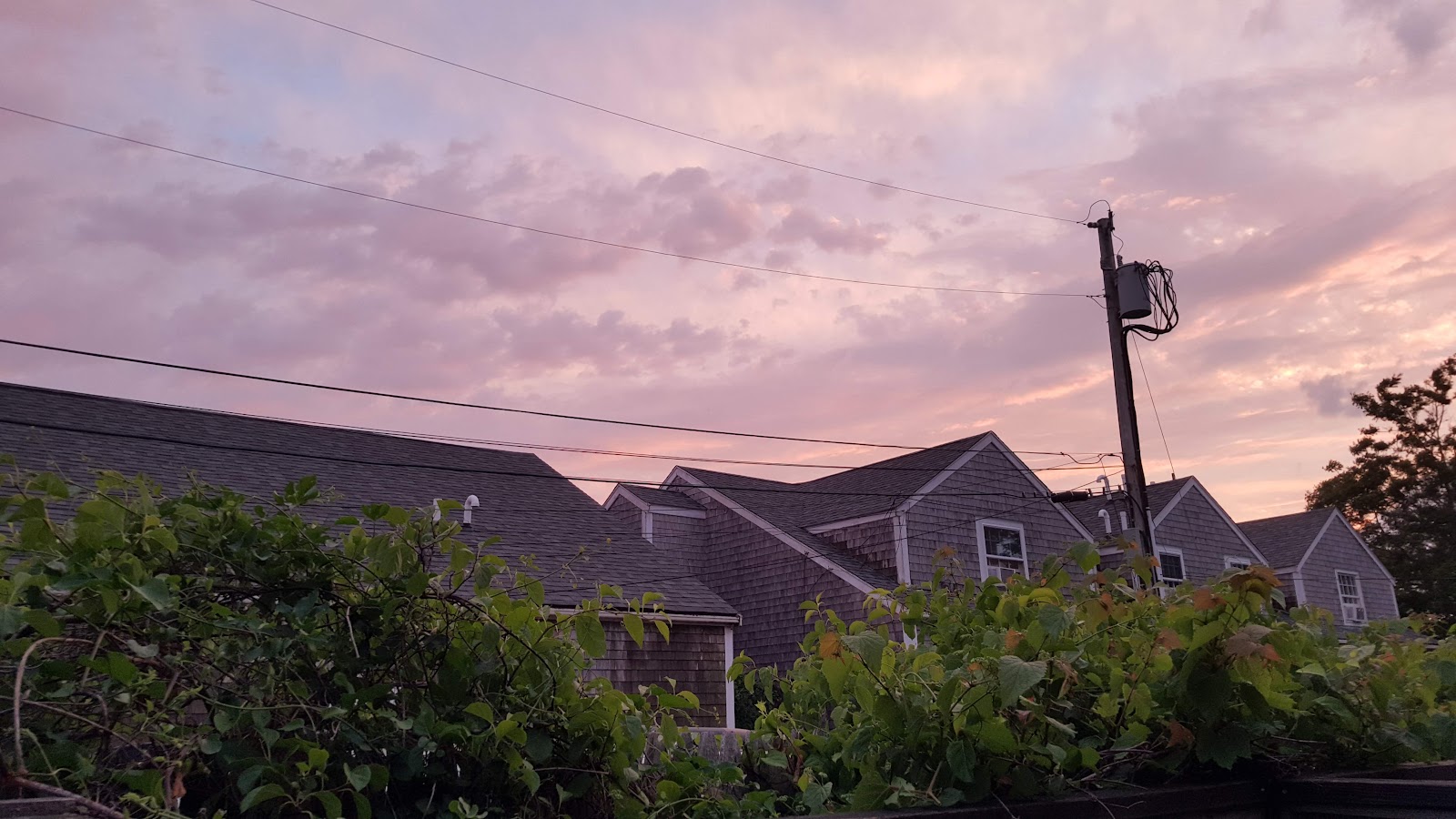 Brant Point Courtyard