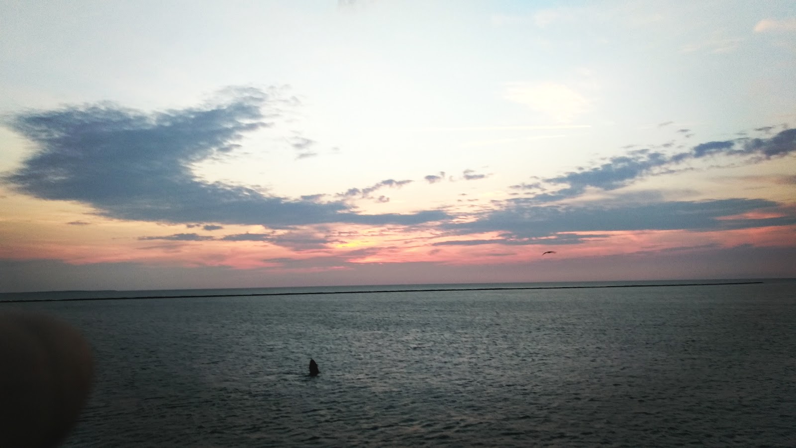 Brant Point Courtyard