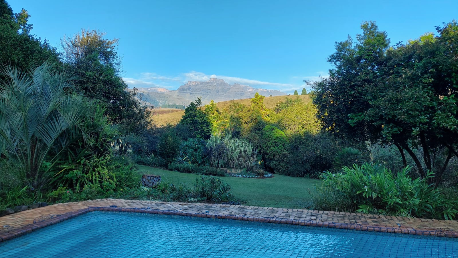 Champagne Lane Champagne Castle Area - South Africa