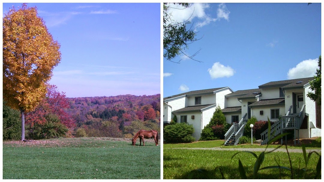 Endless Mountain Resort