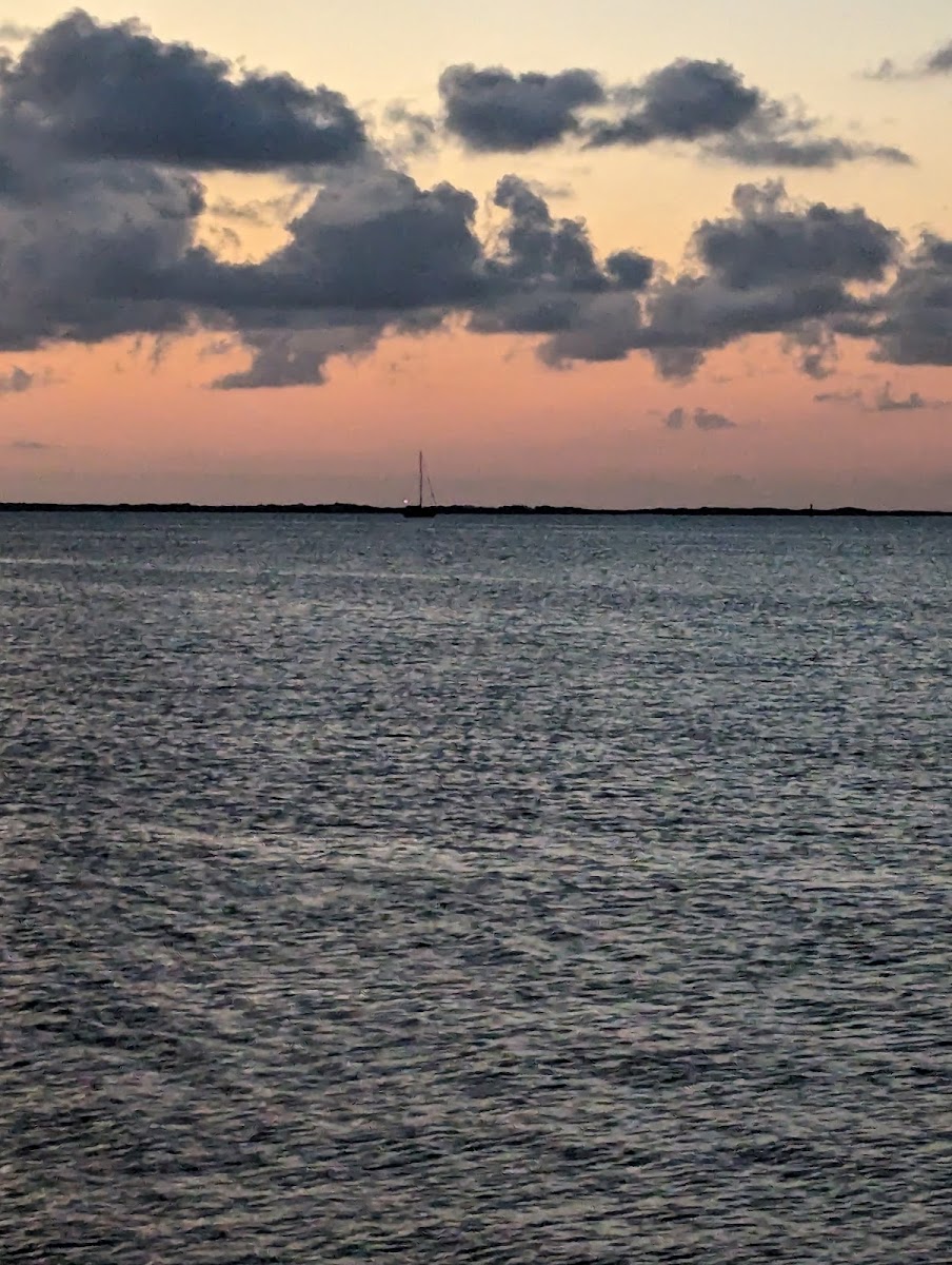 Florida Bay Club