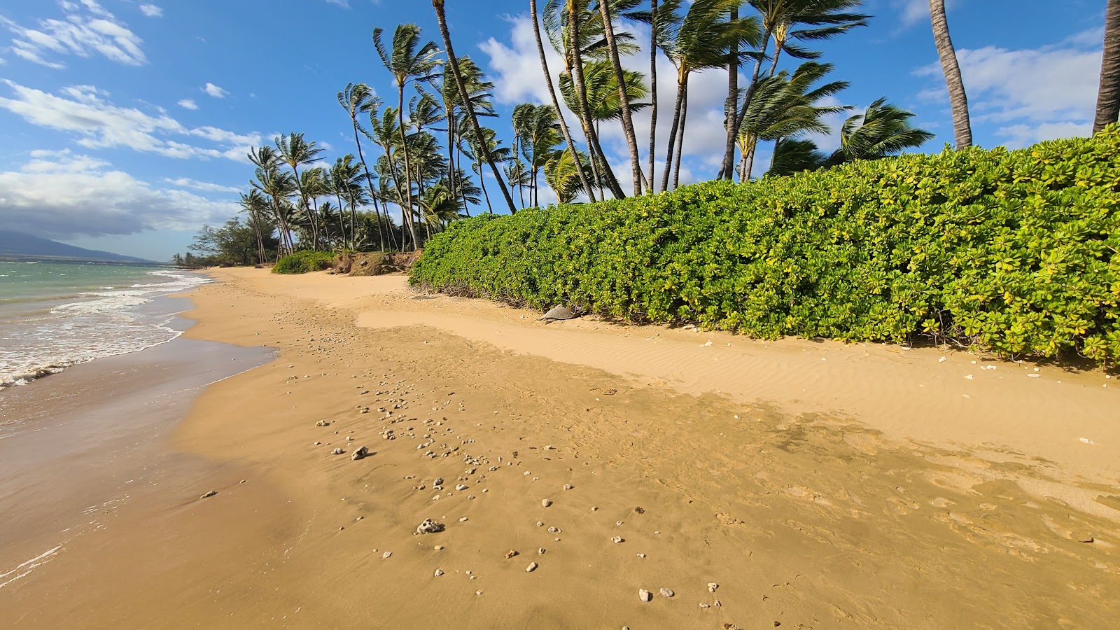 Kapulanikai Vacation Suites