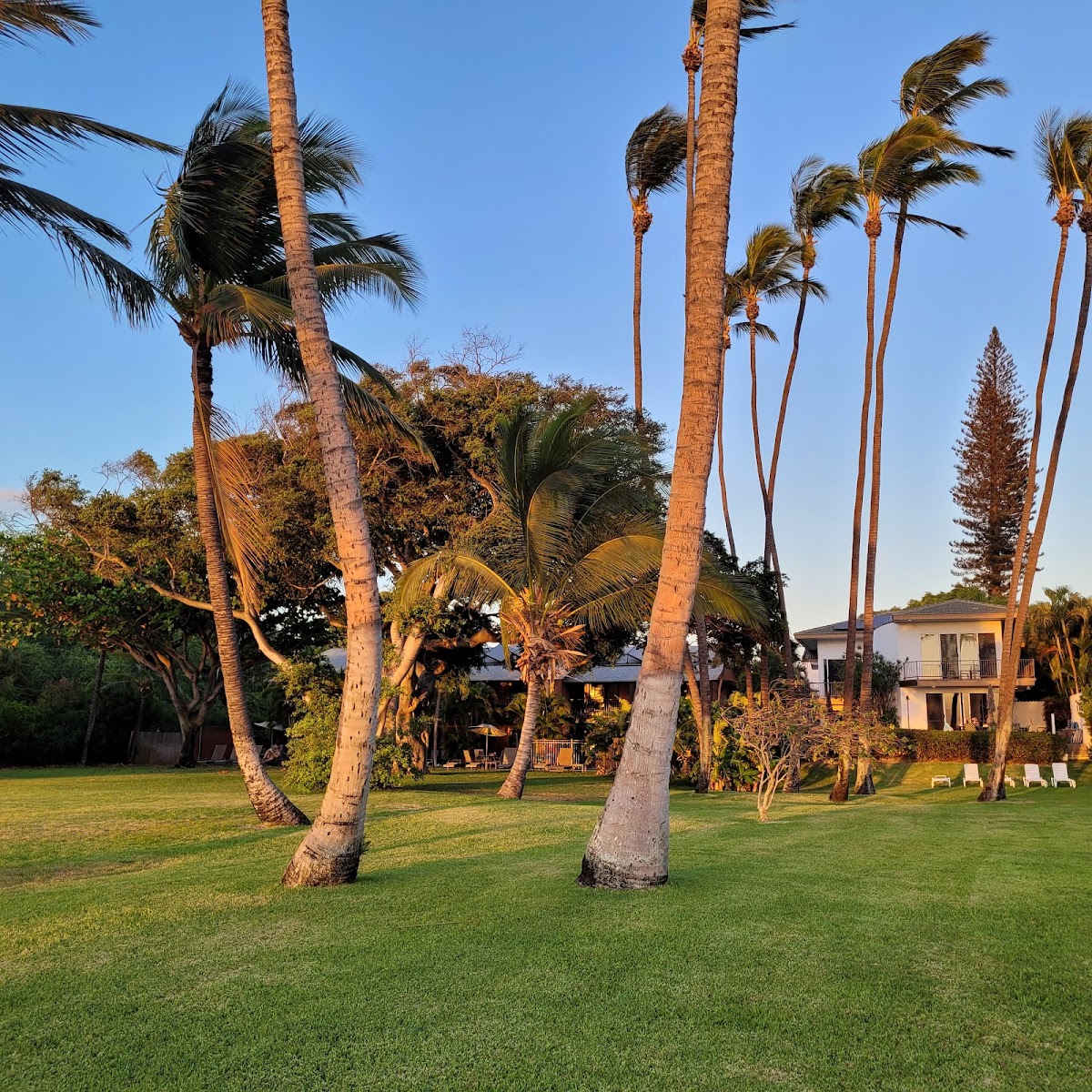 Kapulanikai Vacation Suites