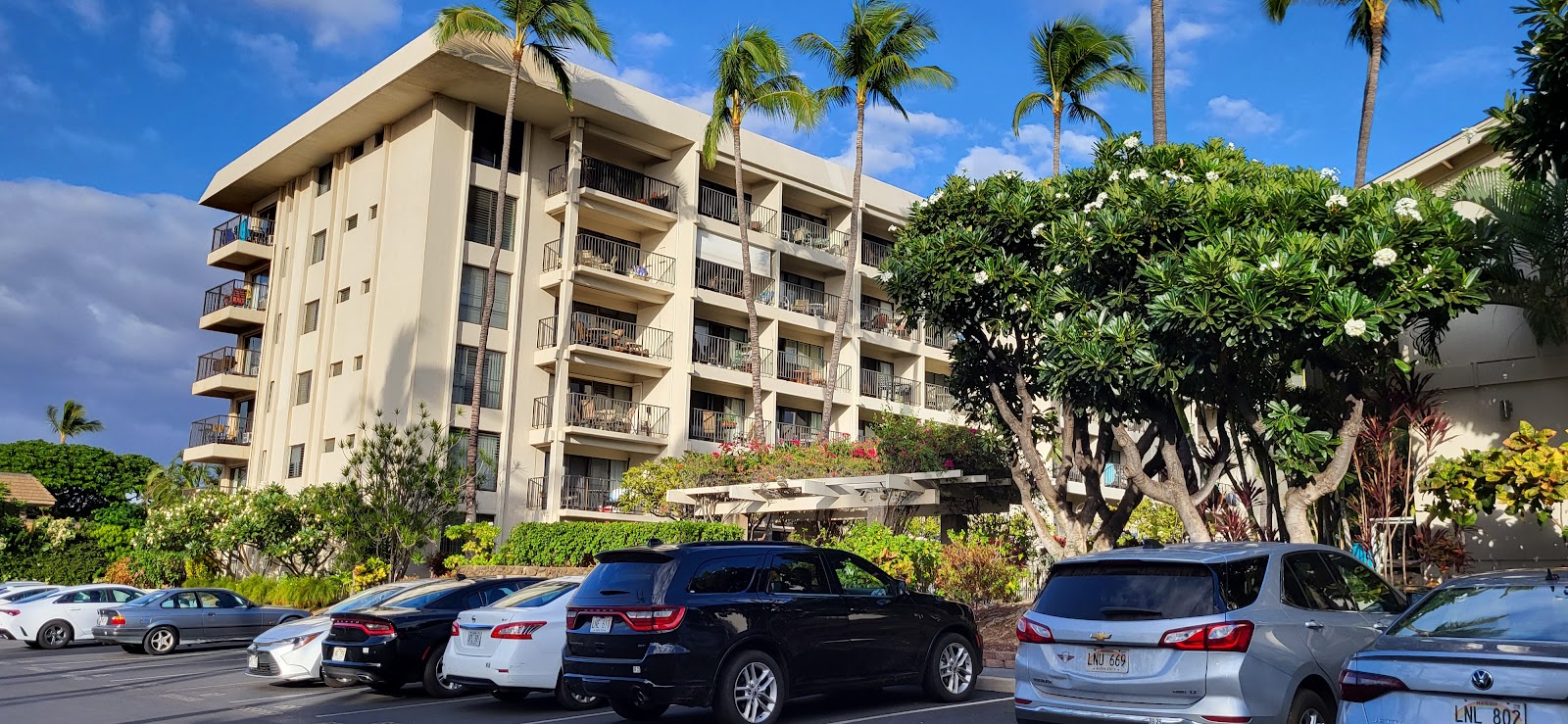 Kihei Akahi - United States