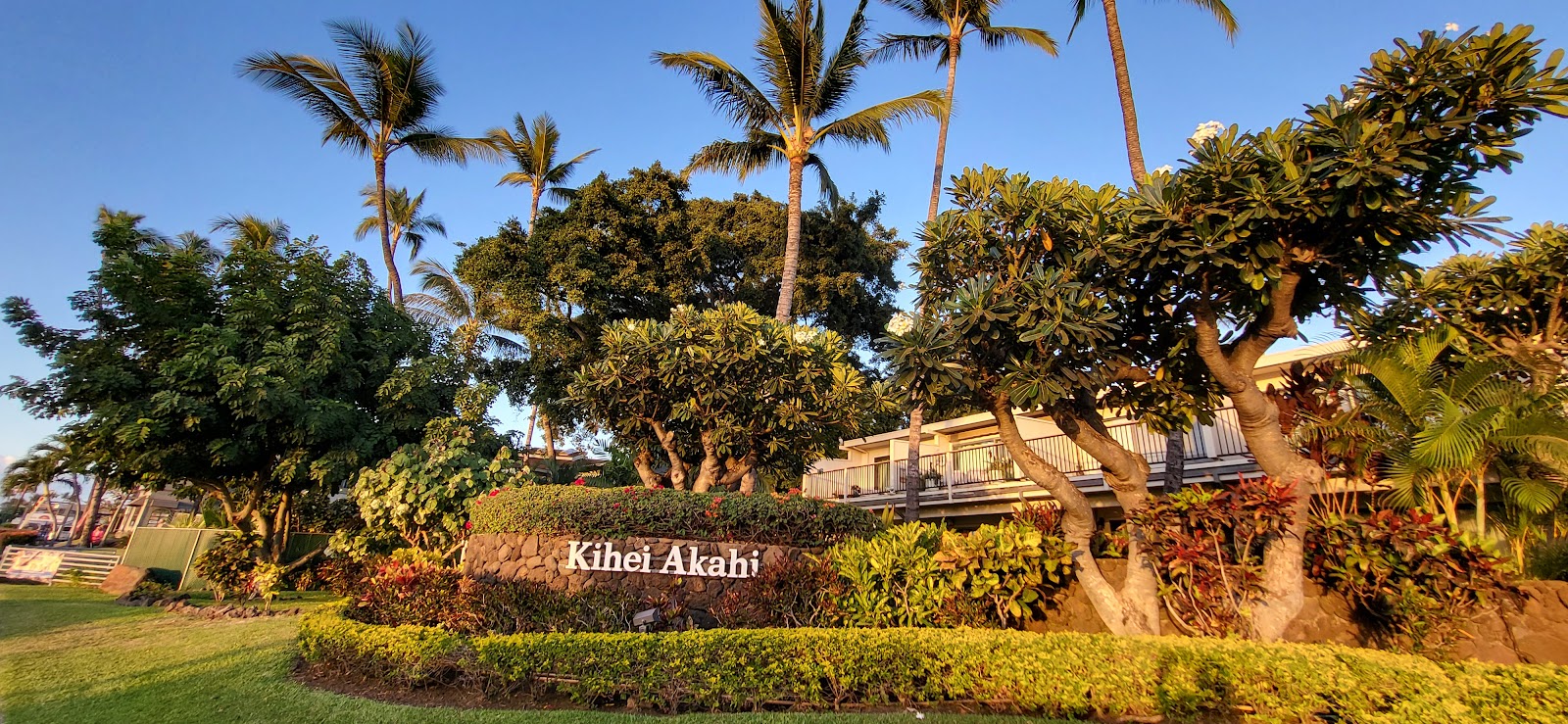 Kihei Akahi