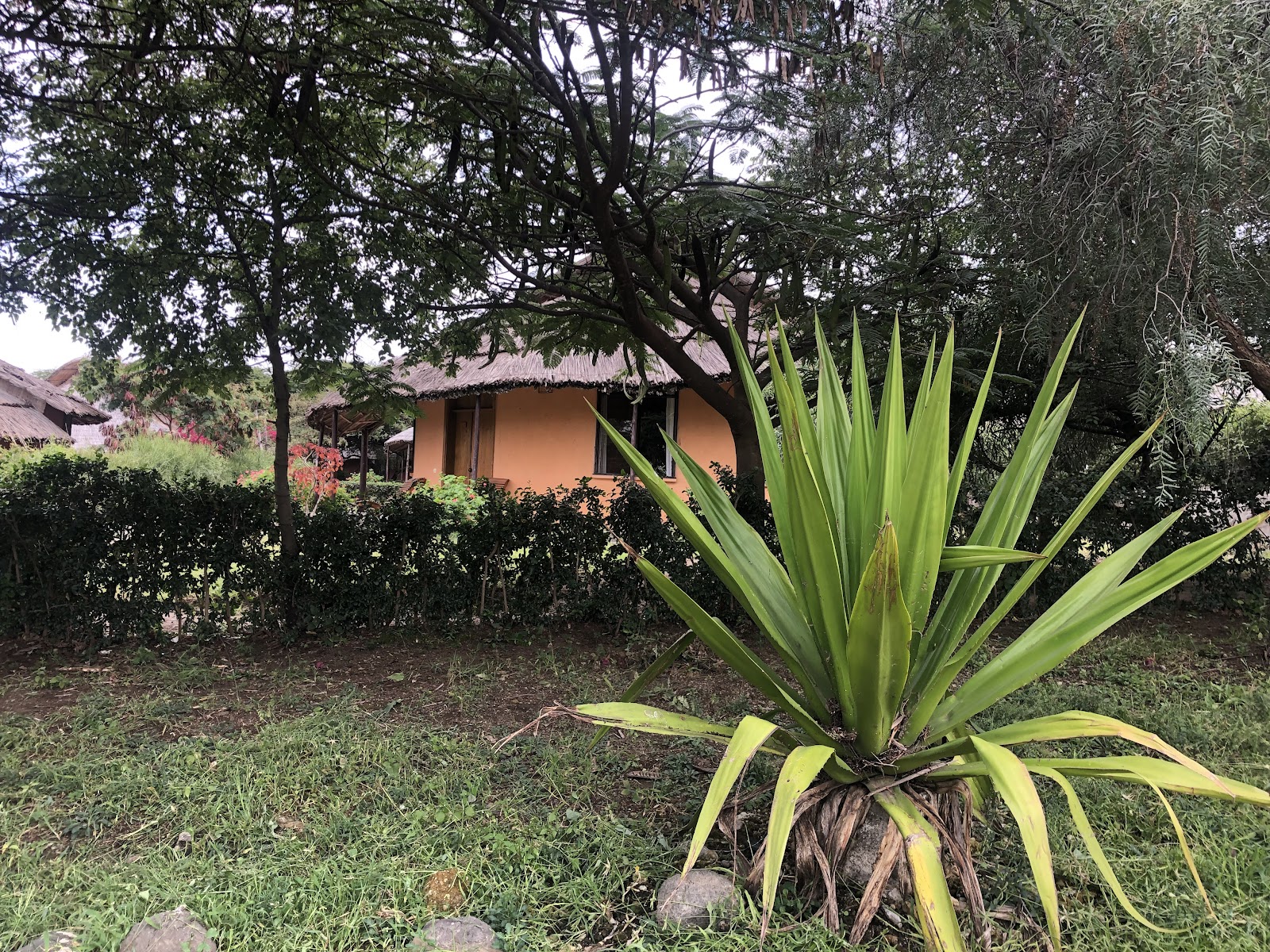 Langano Vacation Club Lake Langano