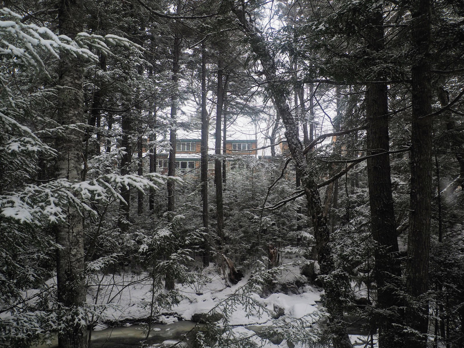 Mountain Sun Condominium- Quarters
