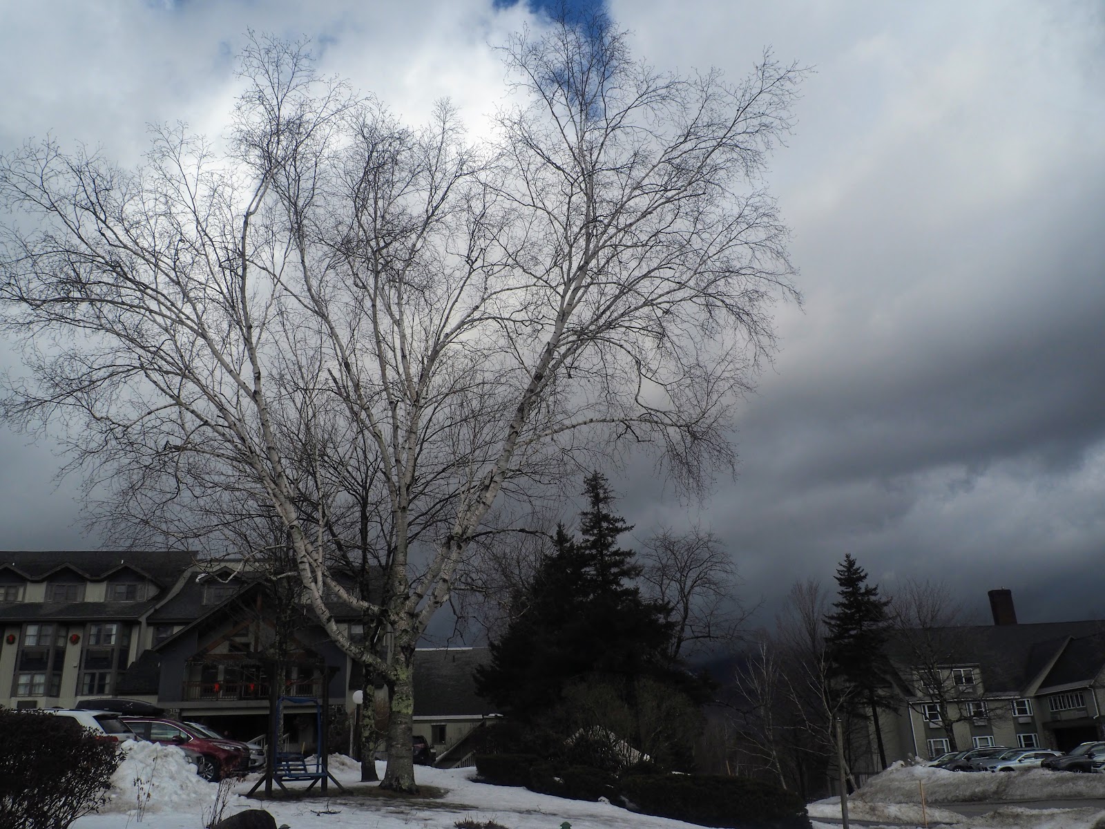 Mountain Sun Condominium- Quarters