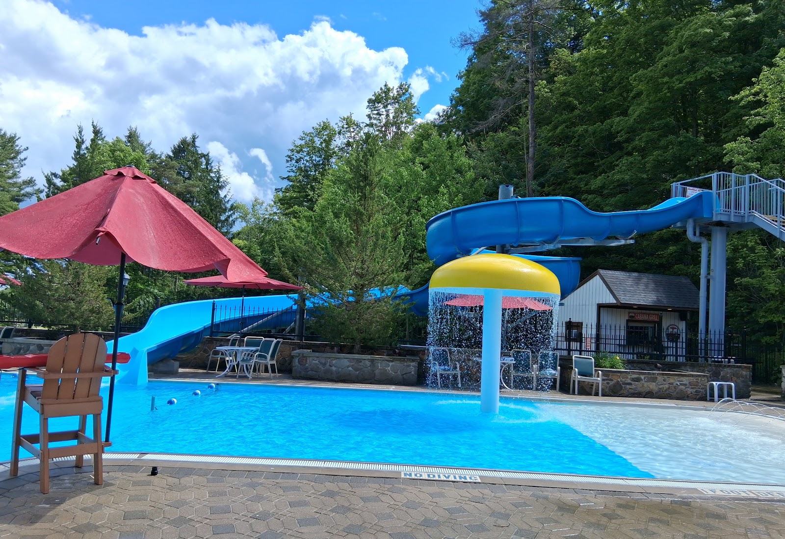 Peek'N Peak'S Greenwood Forest