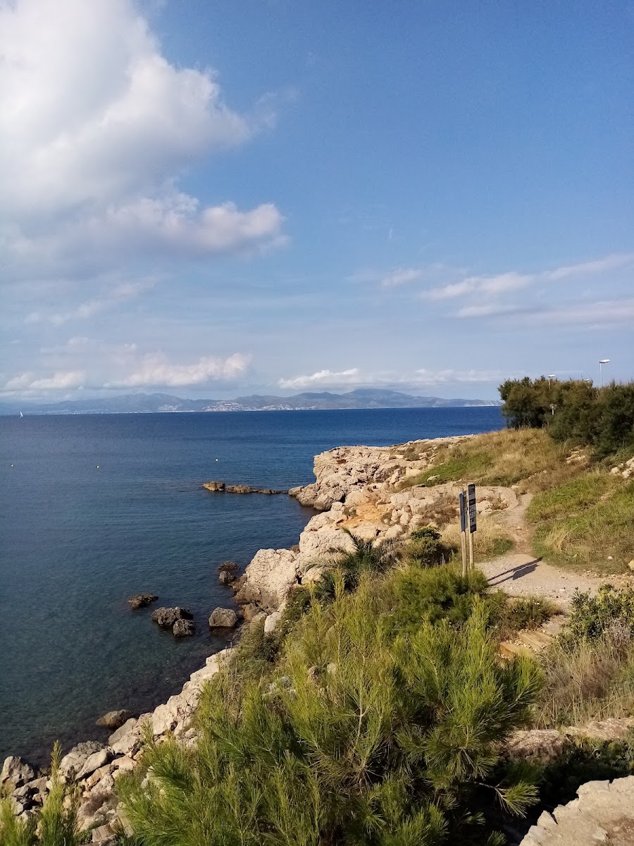 Port de Rei