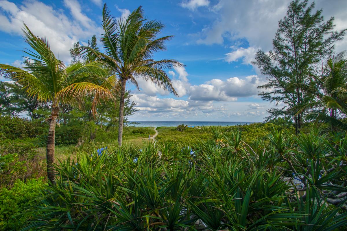 Sand Dune Shores Resort