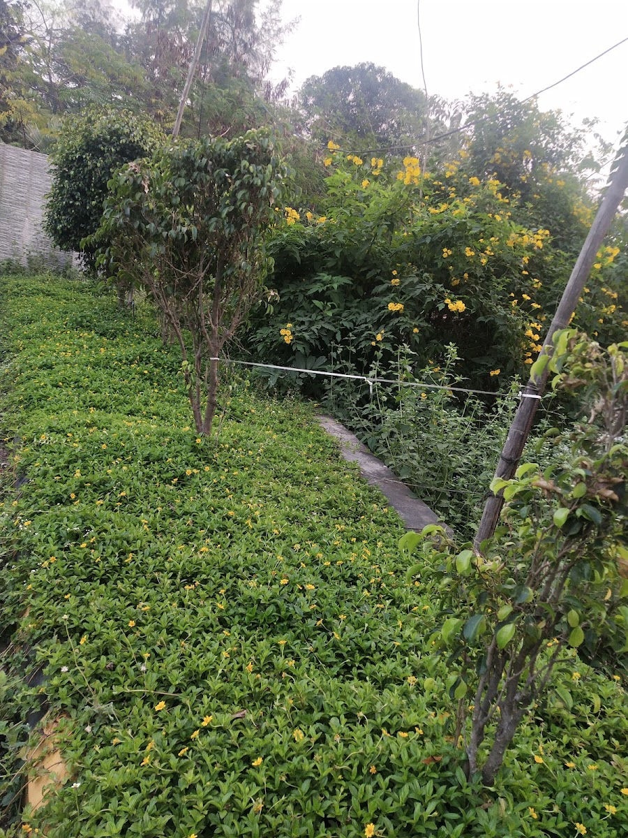 Sanskruti Suites & Resort