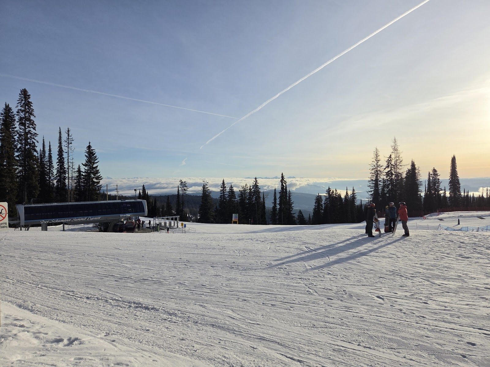 Snowbird