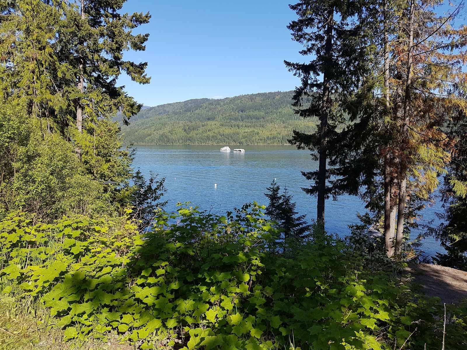 St. IVes On Shuswap
