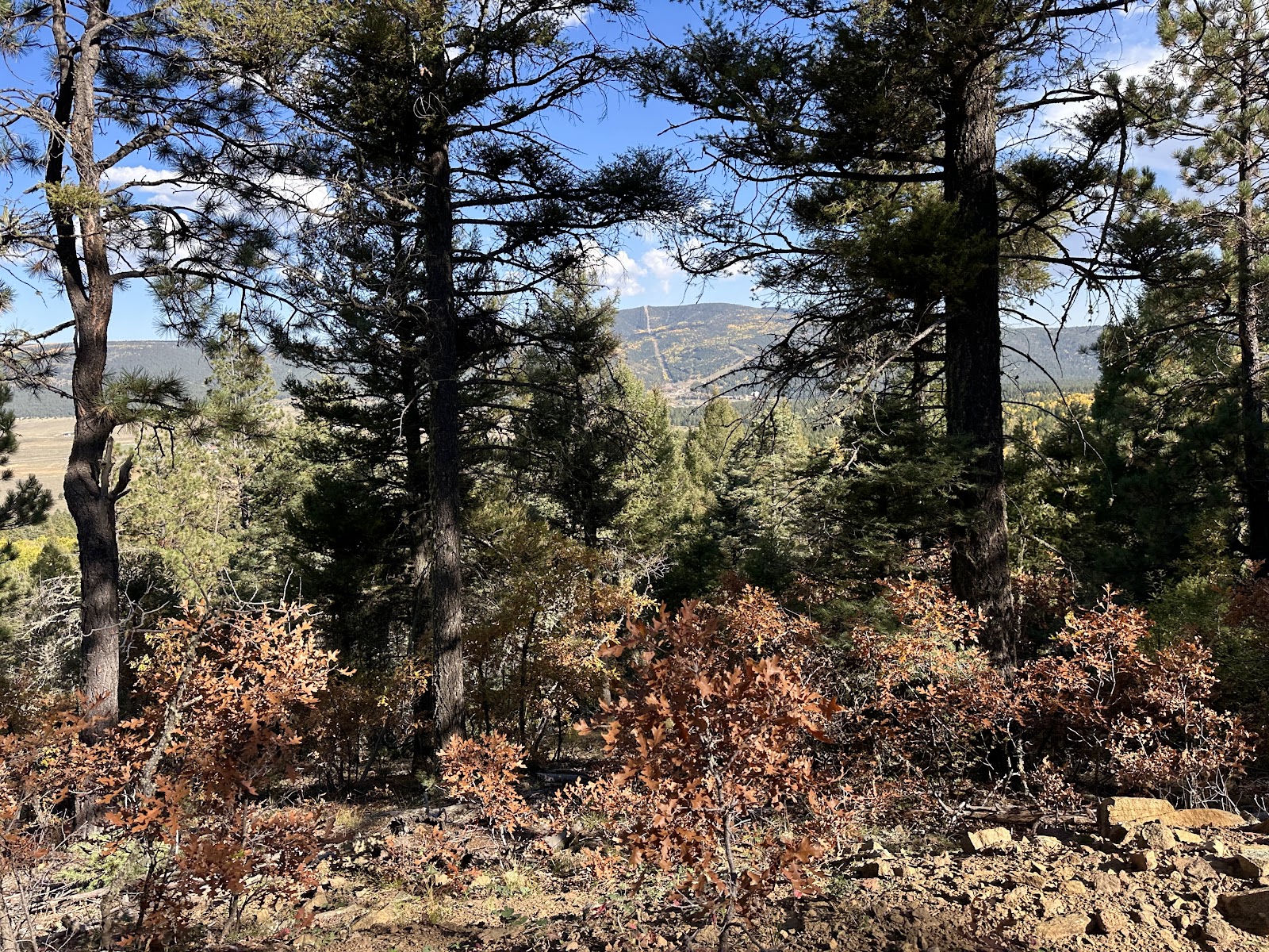 Sun Lodge of Angel Fire - United States