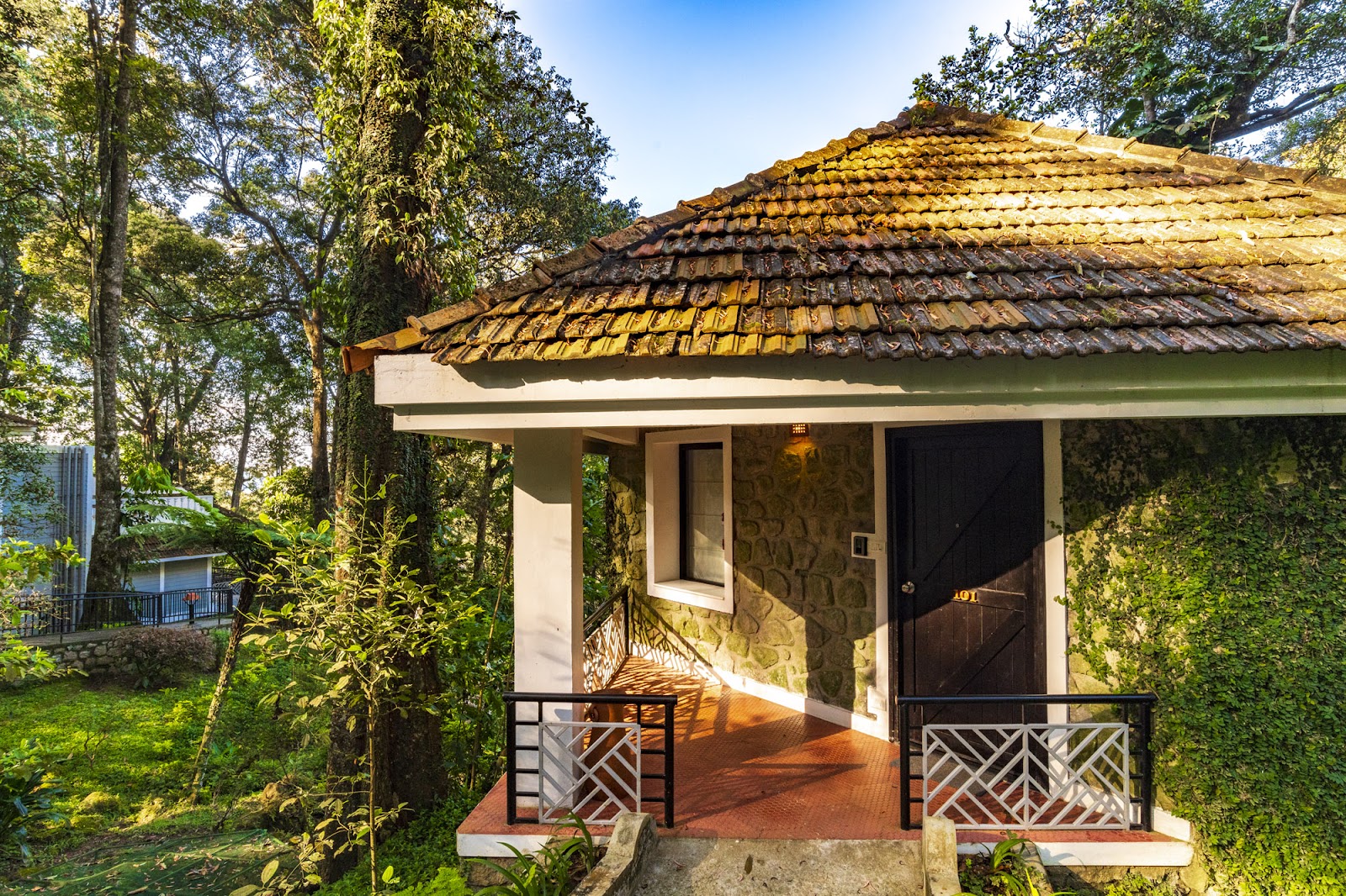 The Tall Trees, Munnar