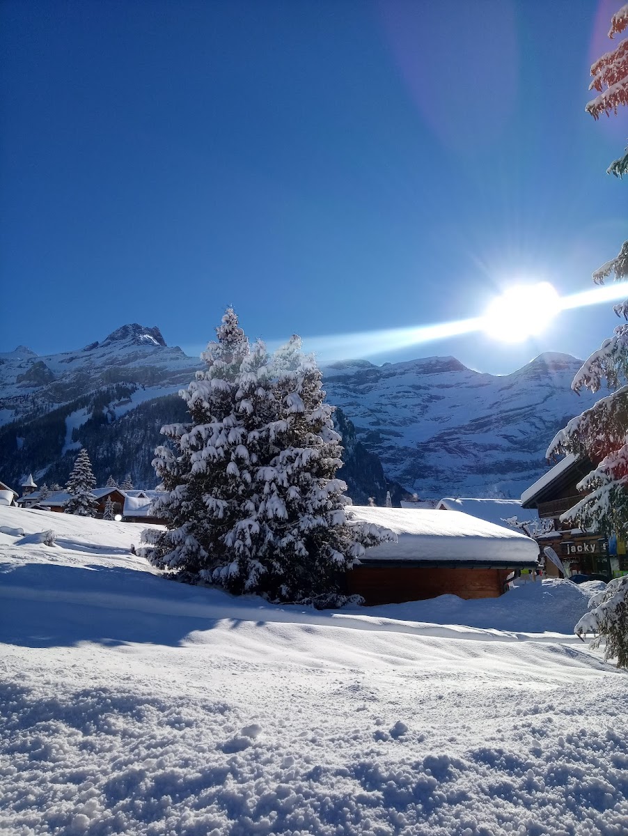 Résidence Diablerets - Parc A
