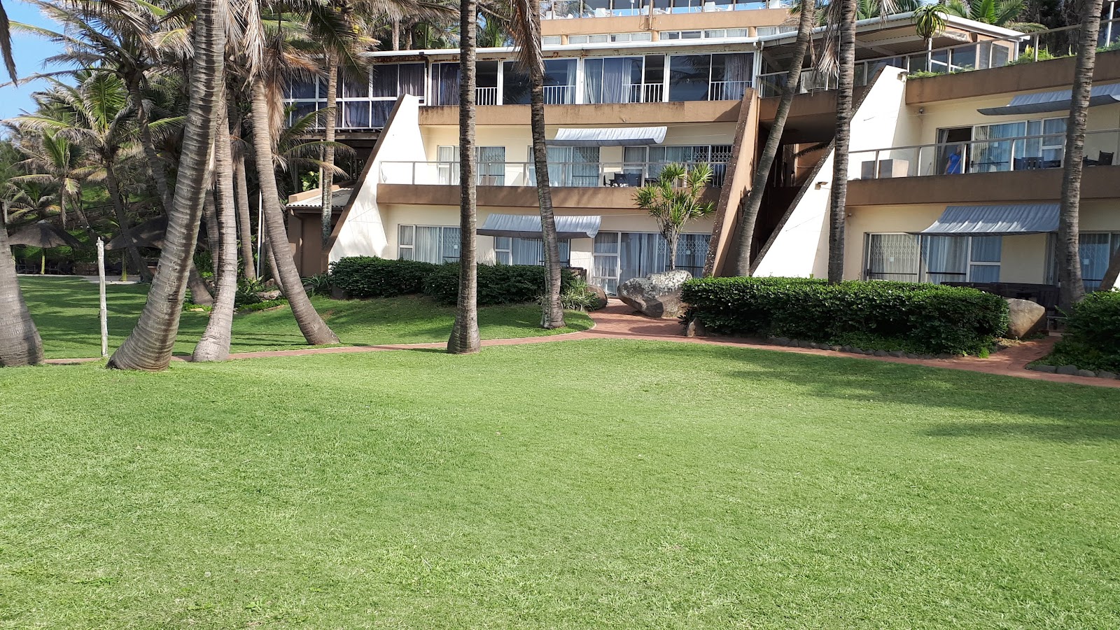Salt Rock Palms