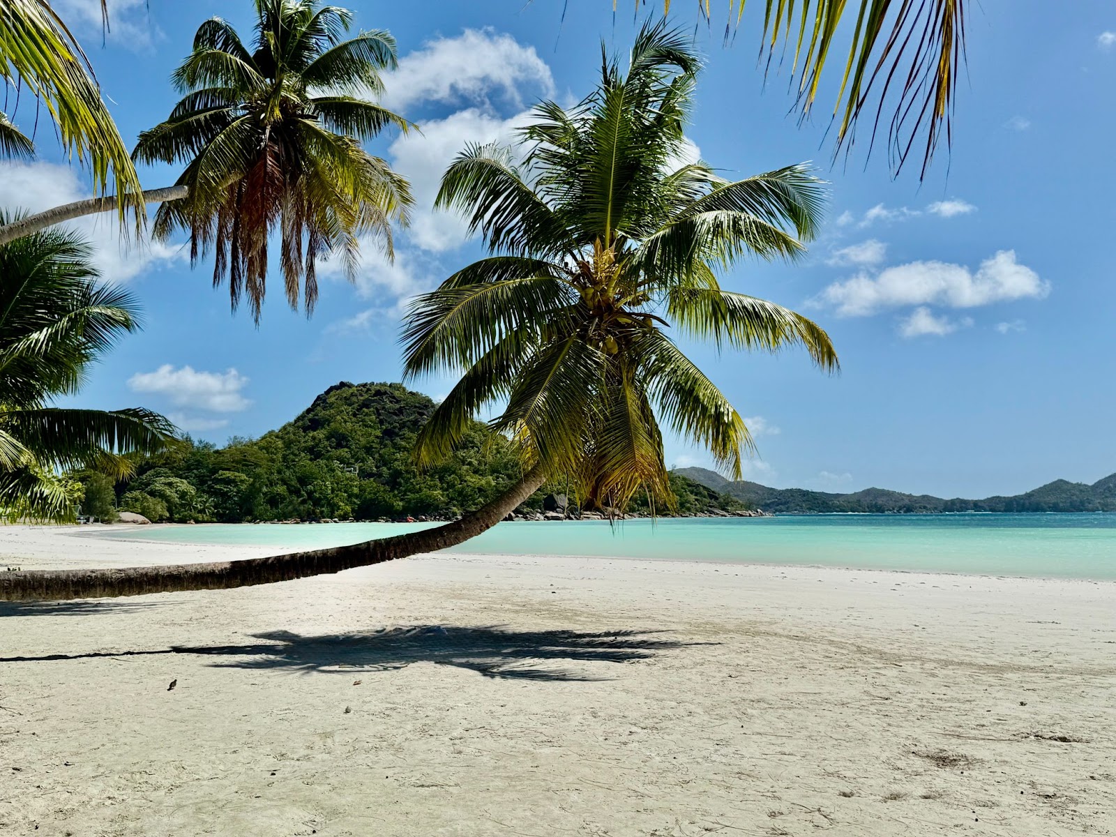 Dream Yacht Charter Base Commercial House One Bldg Eden Island