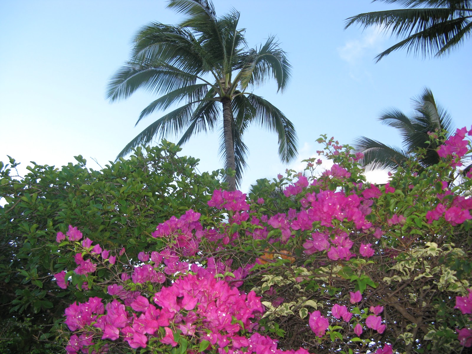 Nihi Kai Villas - United States