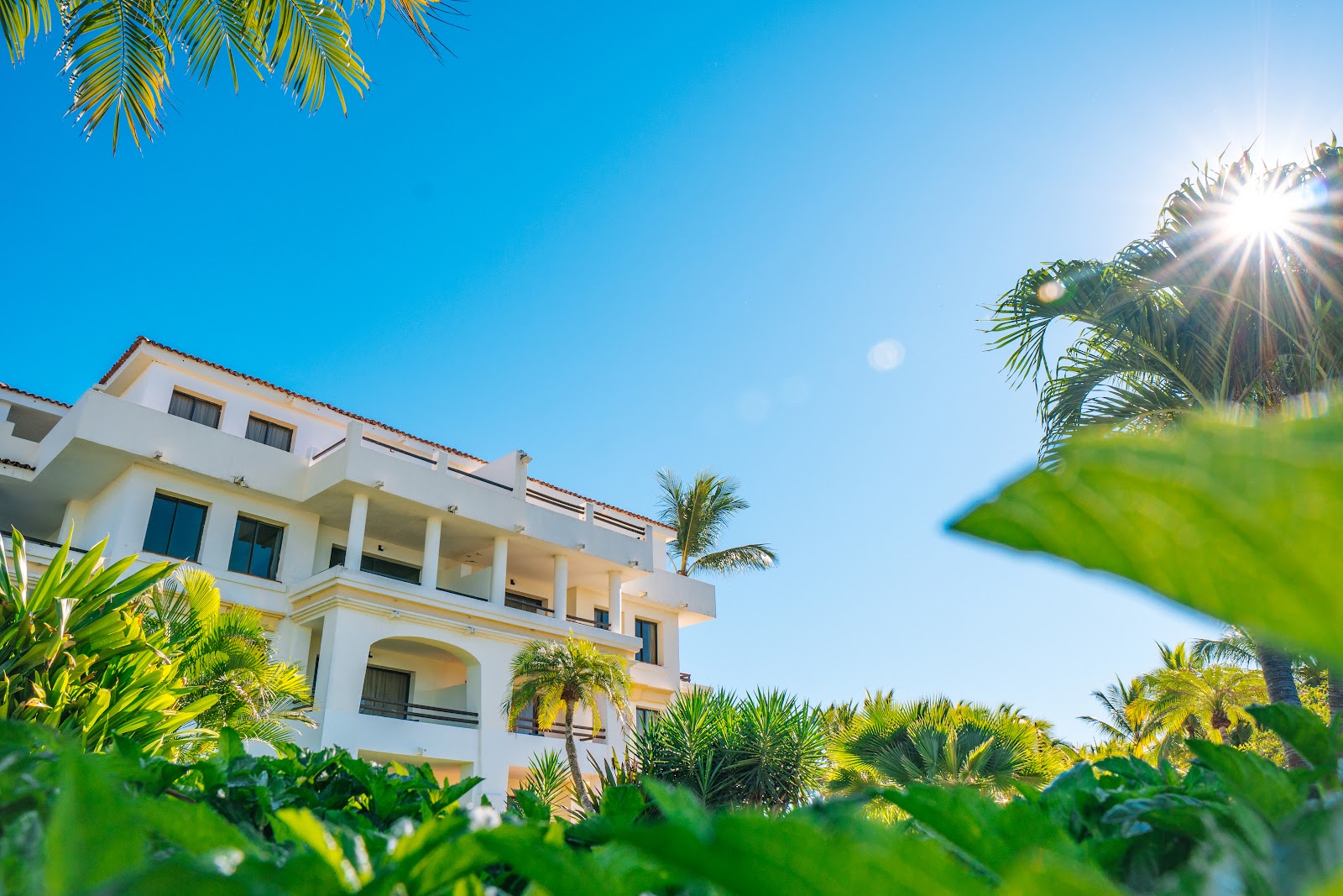 Samba Vallarta