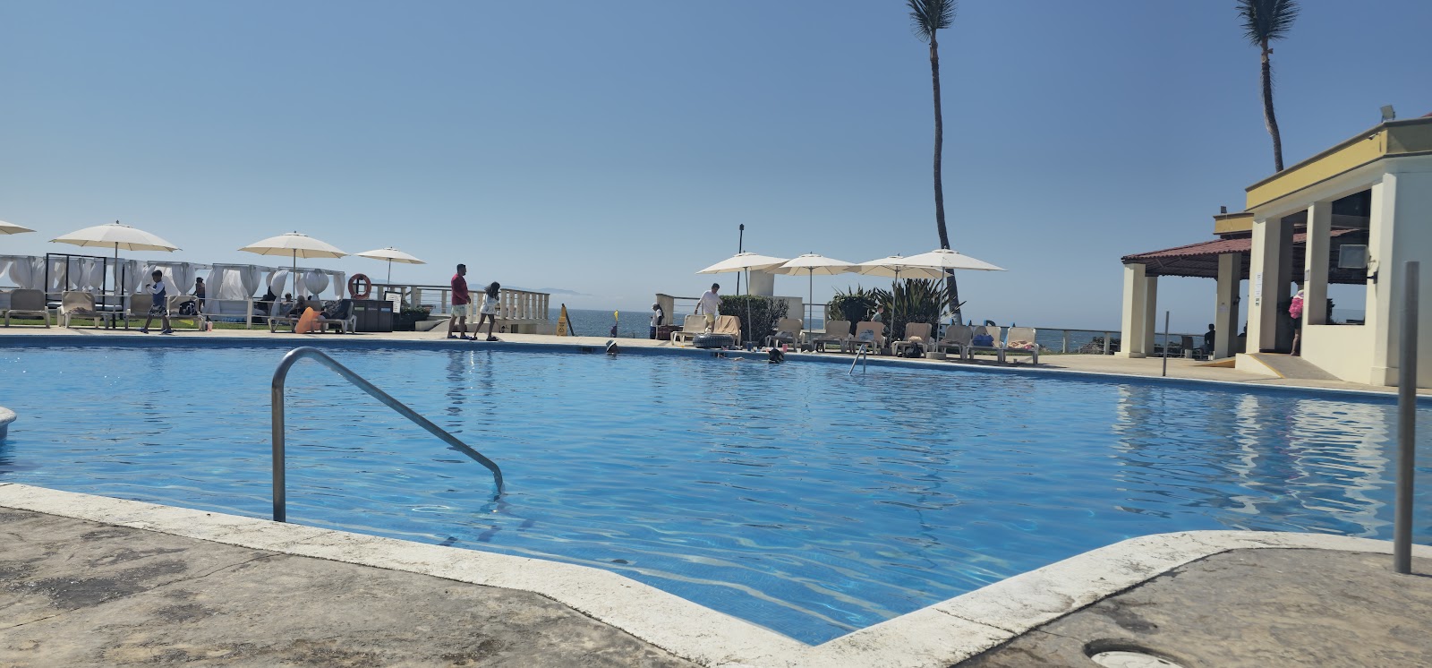 Samba Vallarta