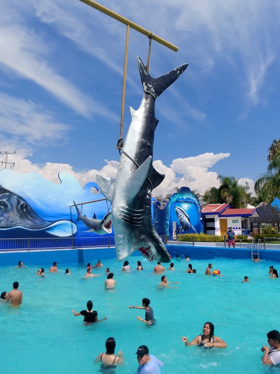 Splash Inn León