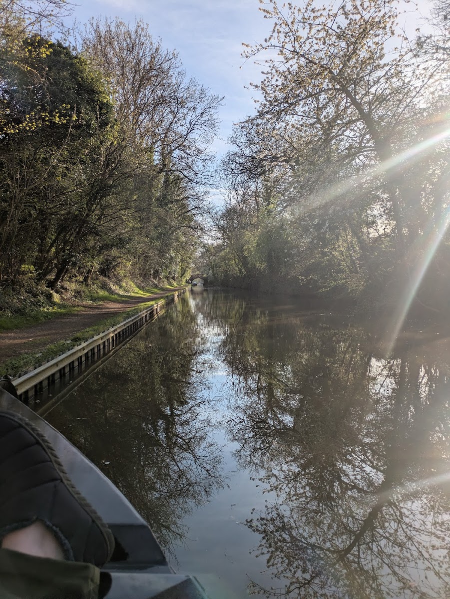 Canalboat Club at Alvechurch Marina Scarfield Warf Alvechurch