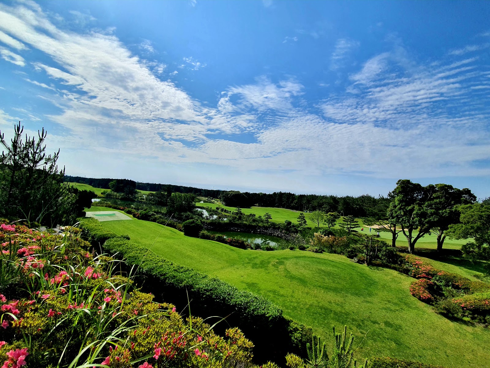 Springdale Golf & Resort