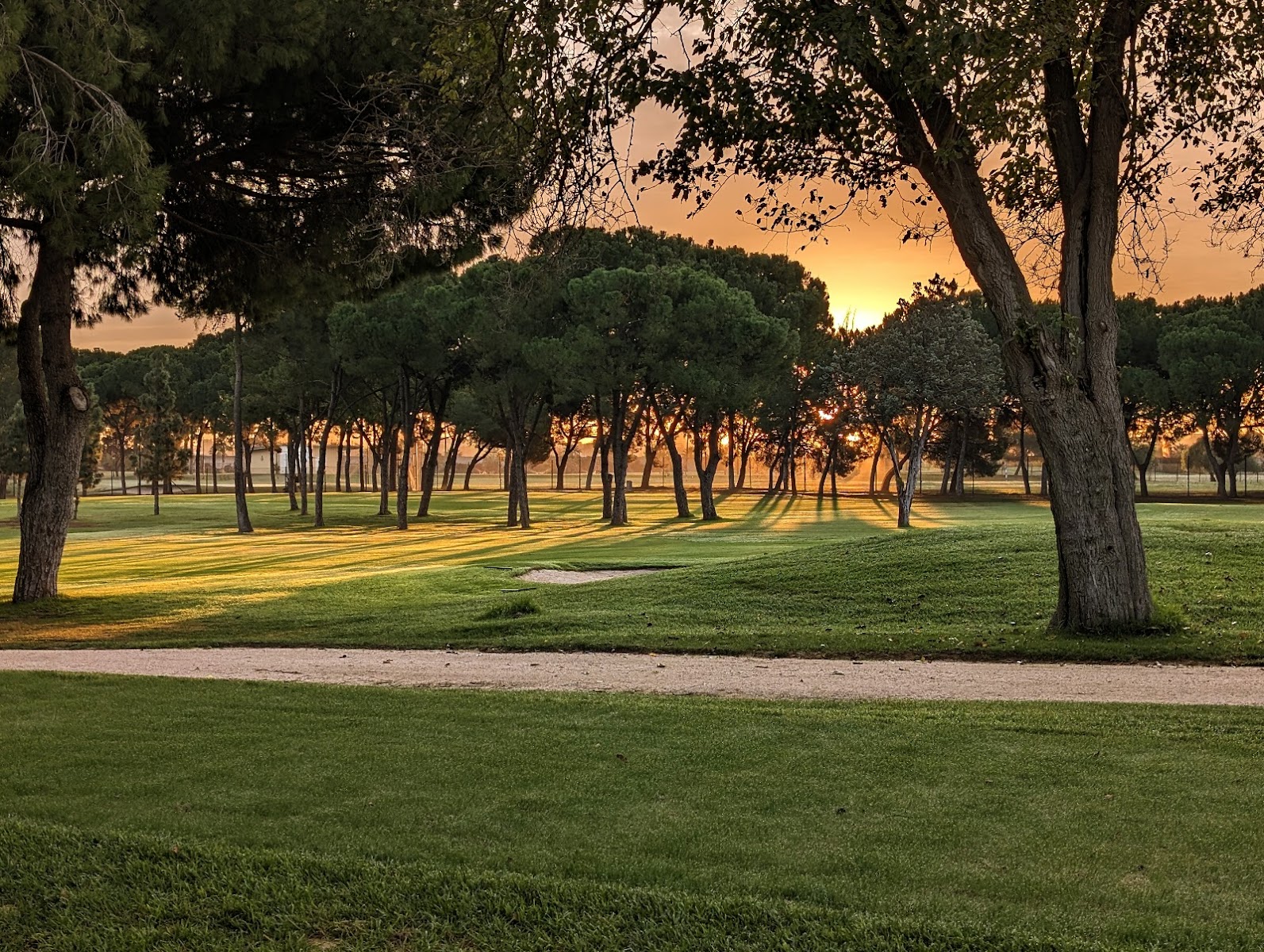Royal Pineda Club