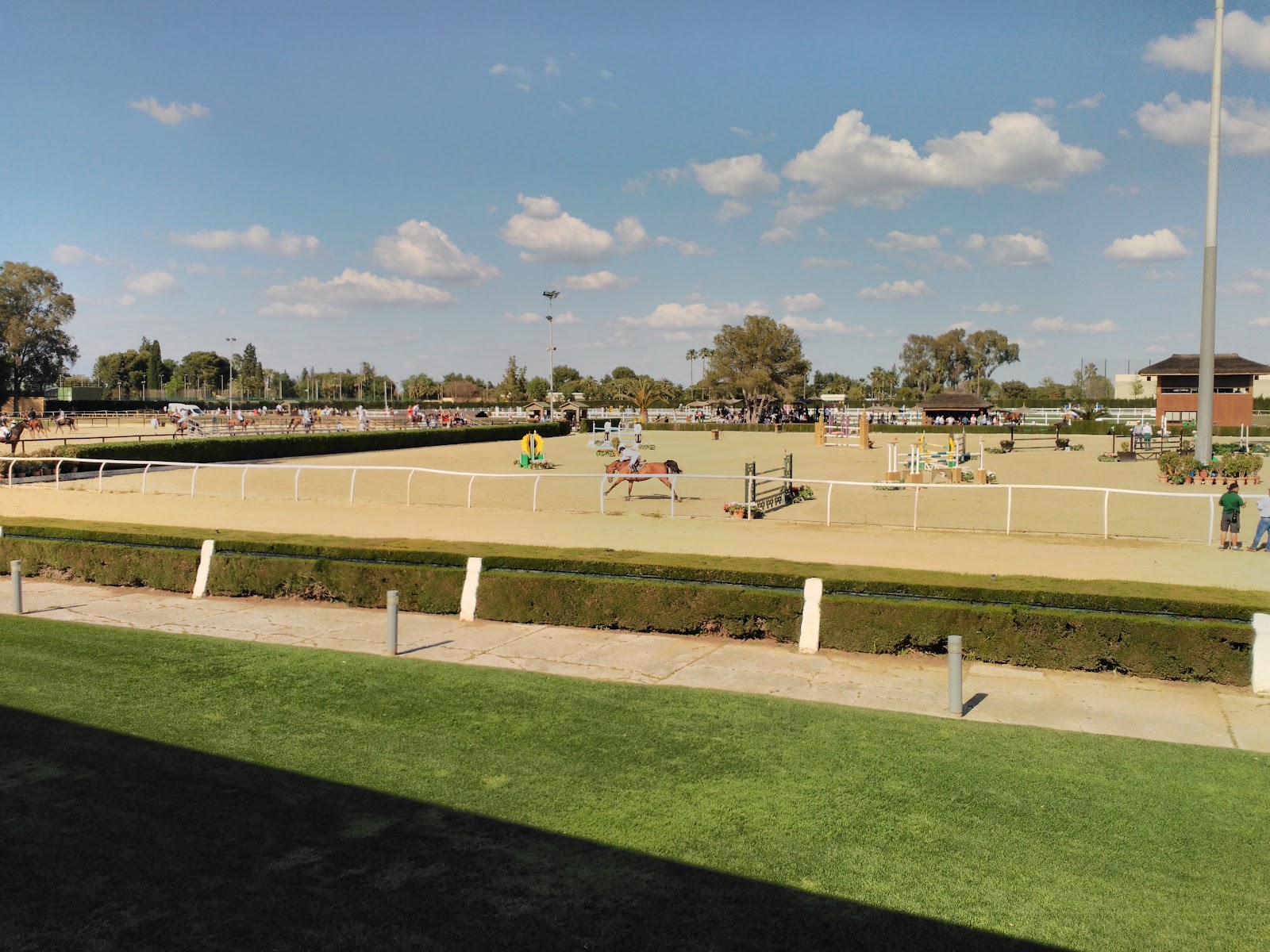 Royal Pineda Club